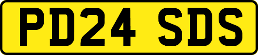 PD24SDS