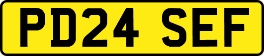 PD24SEF