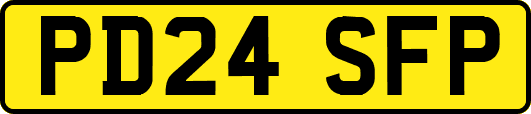 PD24SFP