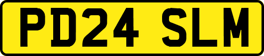 PD24SLM