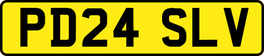PD24SLV
