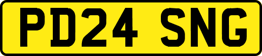 PD24SNG