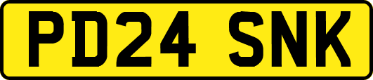 PD24SNK