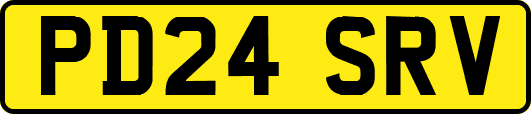 PD24SRV