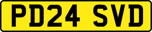 PD24SVD