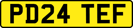 PD24TEF