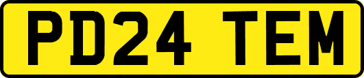 PD24TEM