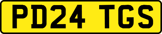 PD24TGS
