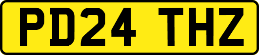 PD24THZ