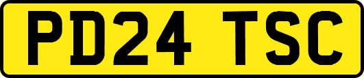 PD24TSC