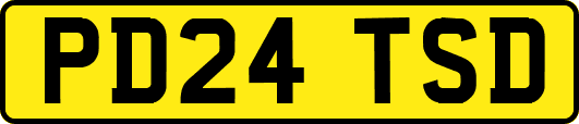 PD24TSD