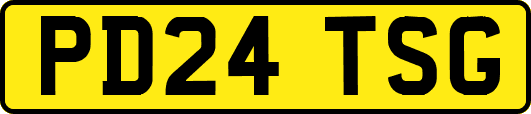 PD24TSG