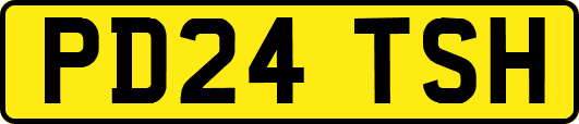 PD24TSH