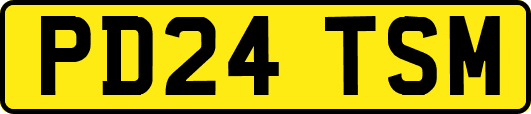 PD24TSM