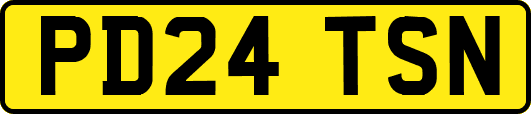 PD24TSN