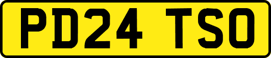 PD24TSO