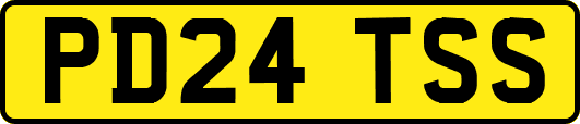 PD24TSS