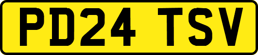 PD24TSV
