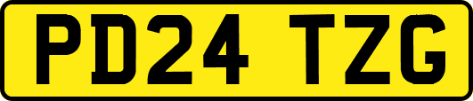 PD24TZG