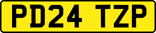 PD24TZP