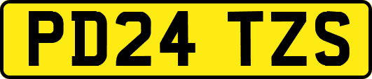 PD24TZS
