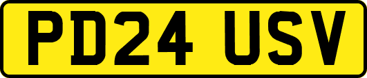 PD24USV