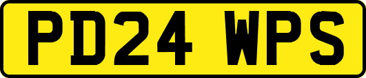 PD24WPS
