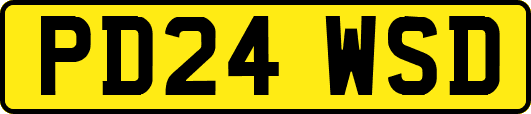 PD24WSD