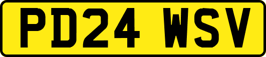 PD24WSV
