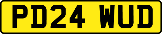 PD24WUD