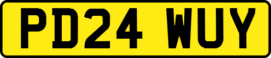 PD24WUY