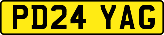 PD24YAG