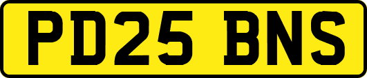 PD25BNS