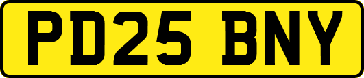 PD25BNY