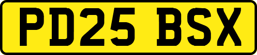 PD25BSX