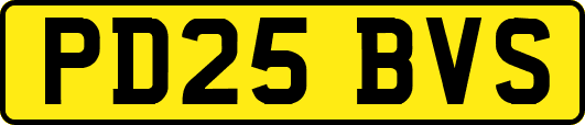 PD25BVS