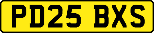 PD25BXS