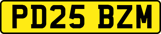 PD25BZM