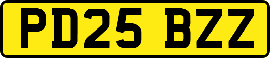 PD25BZZ