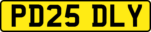 PD25DLY