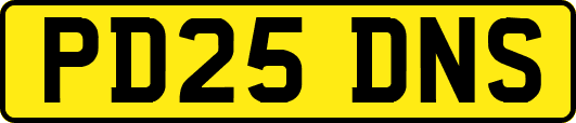 PD25DNS