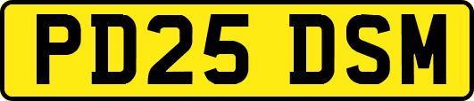 PD25DSM