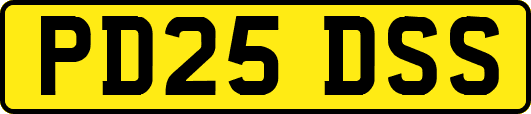 PD25DSS