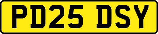 PD25DSY