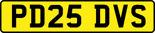PD25DVS