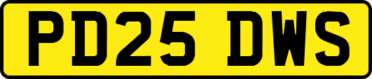 PD25DWS