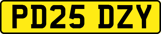 PD25DZY