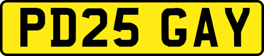 PD25GAY