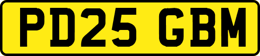 PD25GBM