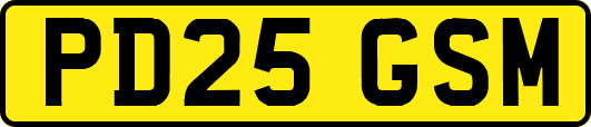 PD25GSM